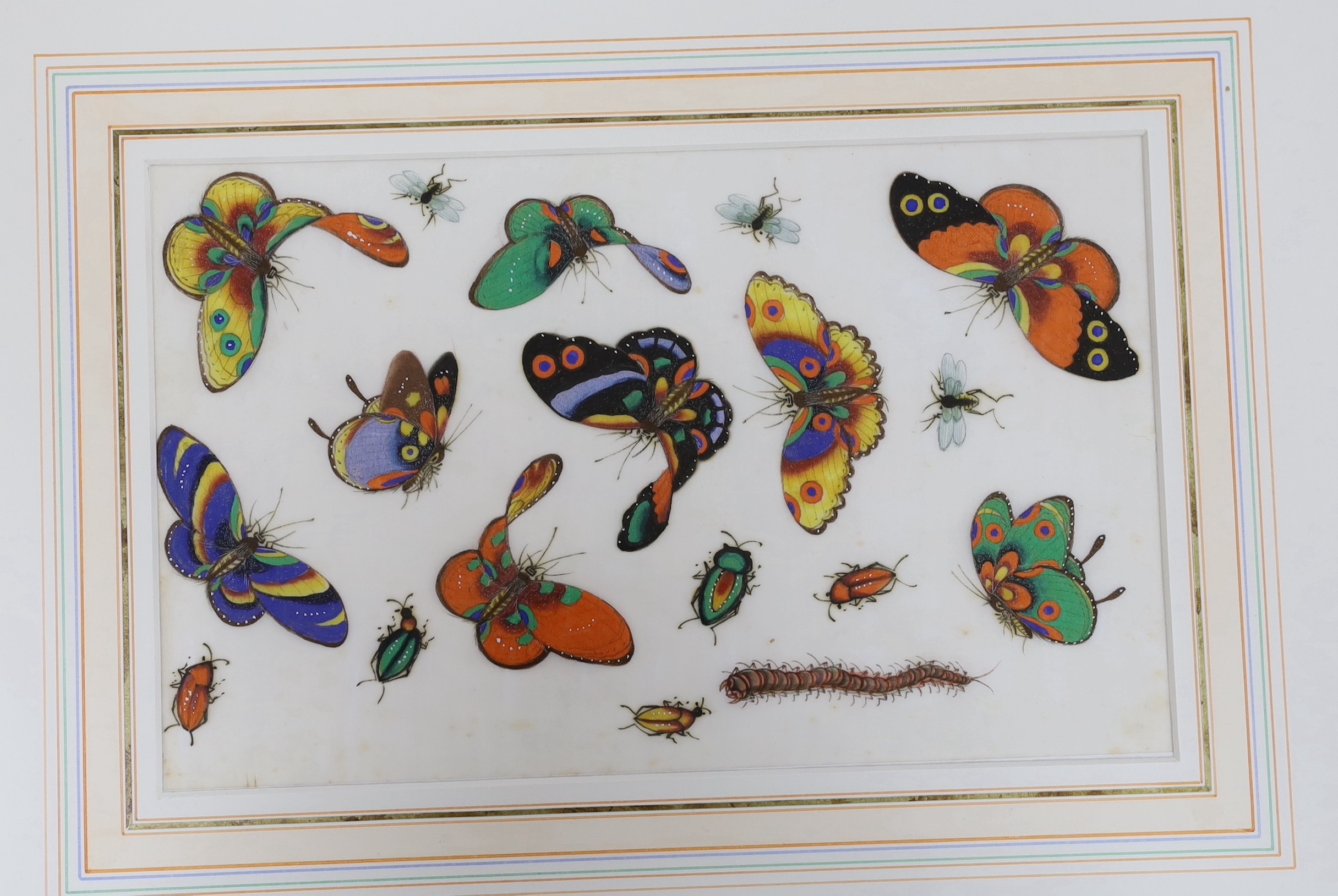 19th century Chinese School, pair of gouache on pith paper, Studies of butterflies, 19 x 30.5cm